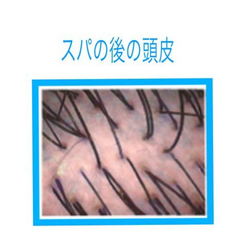 {D3A94C9E-BD03-4E3C-AE5F-3B385B53869F}