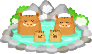hot-spring-boar-couple-children